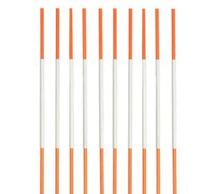 Snow Stakes
