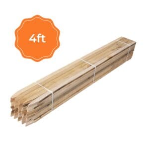 Bundle of four-foot MMD Poplar Lath with a triangular point - top view.