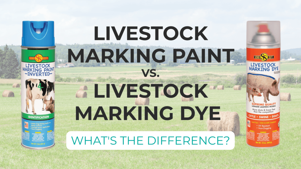 Livestock marking paint vs. livestock marking dye for cattle, swine, and other livestock