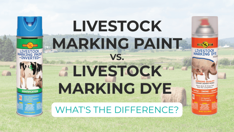 Livestock marking paint vs. livestock marking dye for cattle, swine, and other livestock